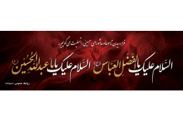 آلبوم تصاویر